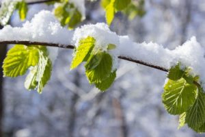 Emerging Career Pathways in Climate Change Technologies