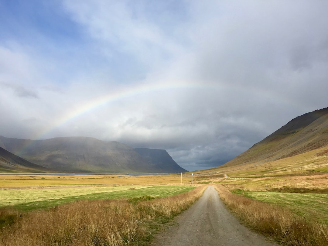 Rhythms of the Road: Musical Journeys Across Continents