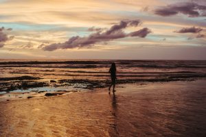 Coastal Chronicles: Navigating the World's Shoreline Stories